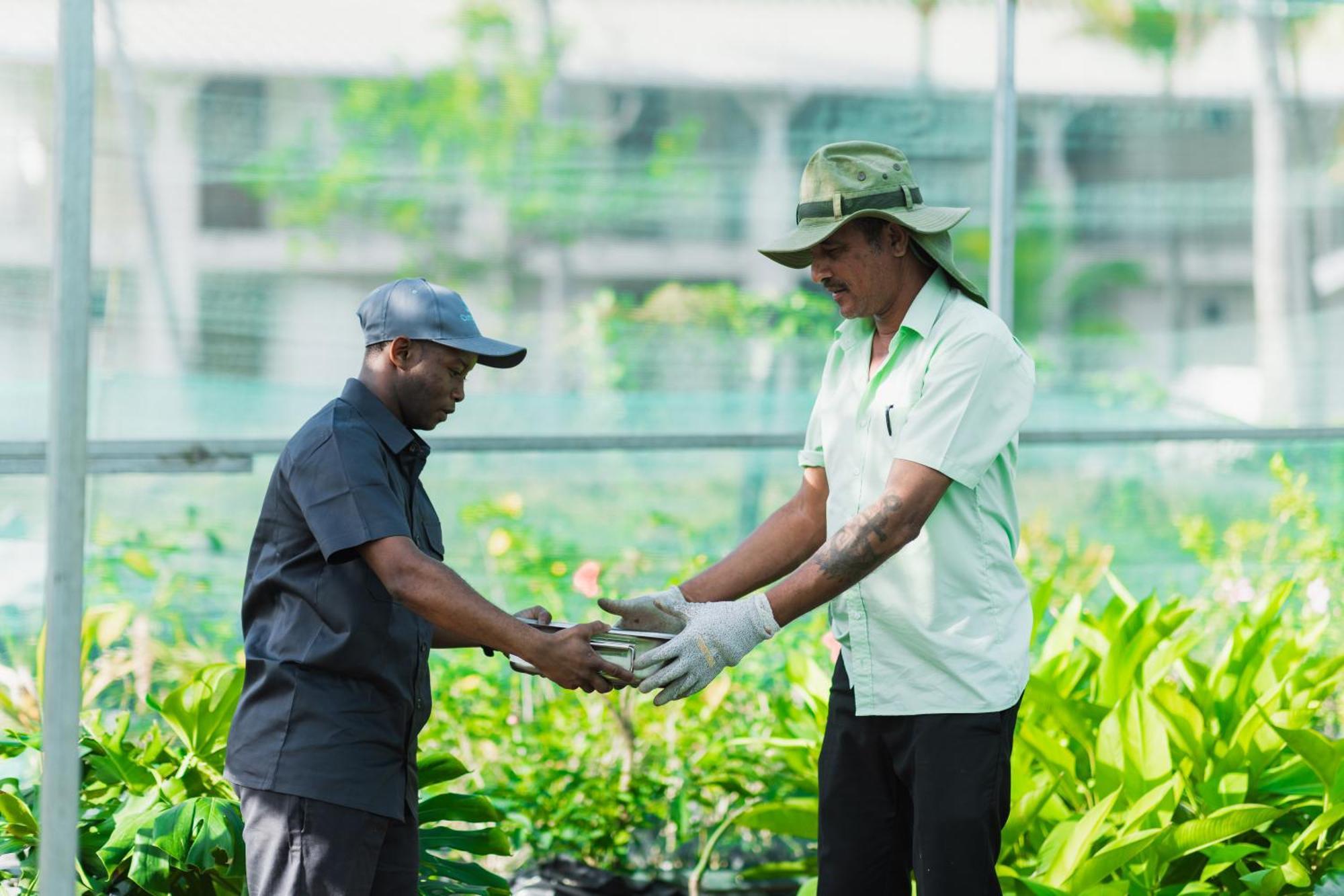 Cotton Bay Resort & Spa Trefles Bagian luar foto