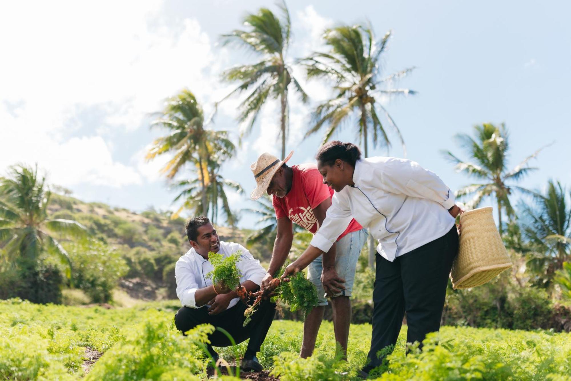Cotton Bay Resort & Spa Trefles Bagian luar foto